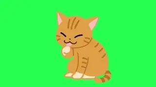 A brown cat 🐈 with six different poses| cat with six different character