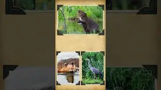 Байдарочный маршрут по реке Осётр.