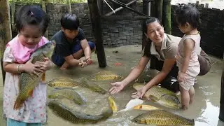 Catch fish in bamboo farm to sell & Cook delicious nutritious food for children
