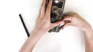 Night 3G Trail Camera  Infrared  Programmable Audio Video Display