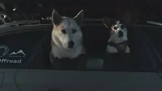 In the World of Overlanding.