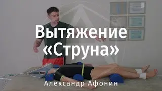 Spine traction 