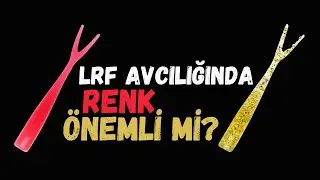 LRF avcılığında renk seçiminin önemi: Forktail. Tanta. Tiny Ticklerz