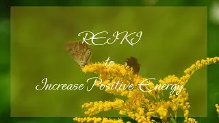 Reiki to Increase Positive Energy | Timeless Energy Healing
