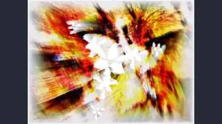 Johnra - Visionary