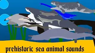 prehistoric sea animals | sounds