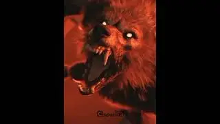 borilar