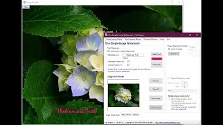 Image watermark software - Batch image mode