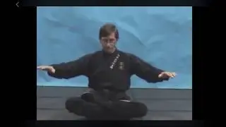 Nine Minutes Of Pure Bullshido