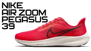 NIKE AIR ZOOM PEGASUS 39 | ПЕРШЕ ВРАЖЕННЯ | DH4071-600