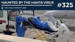Haunted by the Hanta Virus: The 325th Evolutionary Lens with Bret Weinstein and Heather Heying