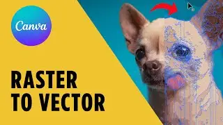 Make Vector Graphics From Images in Canva – Step-by-Step Tutorial