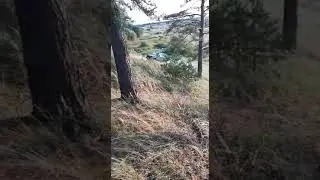 Offroad по русски. Нива НЕ СМОГЛА ЗАЕХАТЬ В ГОРУ?😱🔥🇷🇺