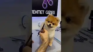 С утра в Barbershop