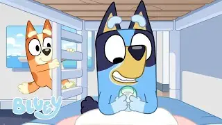 Momenti di relax in vacanza con Bluey 🏝️ | Bluey Italiano Canale Ufficiale 💙 🇮🇹