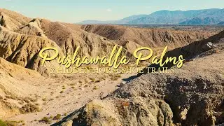 Pushawalla Palms and Hidden Horseshoe Trails || Thousand Palms, CA