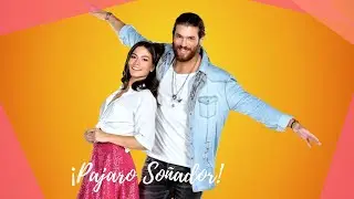 PÁJARO SOÑADOR O SUEÑO CONTIGO