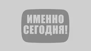 evolve rp но это не евольв рп