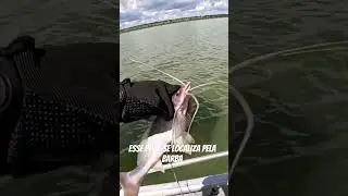 pescaria de barbado no rio grande! #pesca #peixe #natureza #barco