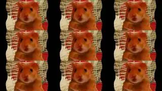 harry the hamster ft Trikkstar