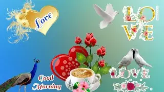 Good Morning Status Video WhatsApp Status Video Good Morning