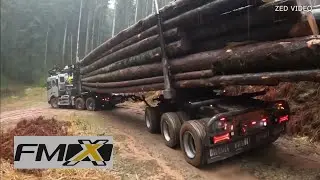Virage difficile en grumier !! ALV TRANSPORTS 💪🚚⛰🌲