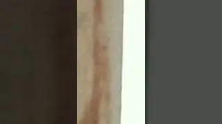 Дагестанского тигрёнка не возможно остановить при любой погоде.    Дух дидойского маленького тигра