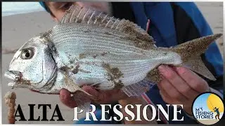 Orate diurne... Battaglia notturna! Inverno 2024 e alta pressione | Surfcasting Sardegna