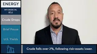 Crude oil futures fall over 2%, 2/20/24