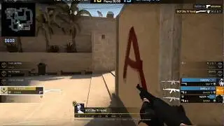 XD CS GO -3