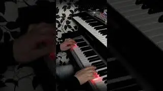 Жуки