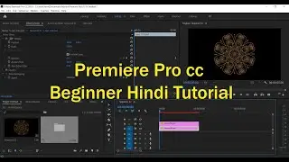 Adobe Premiere Pro cc 2019 Beginner Hindi Tutorial By Multitalent Video