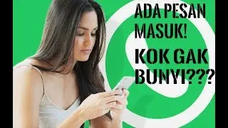 Cara mudah mengaktifkan notifikasi nada pesan whatsapp