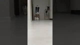Бежит ко мне зайка🐰