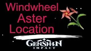 Windwheel Aster Location Genshin Impact