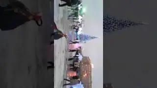 Самгар