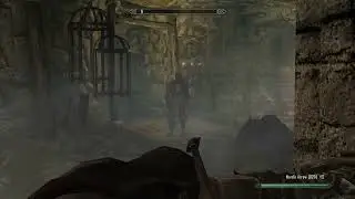He's Got That Tigerlike Reflex #10 (Skyrim)