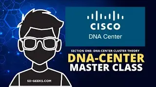 DNA-Center Cluster Theory