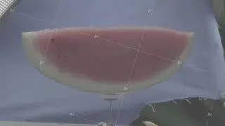 Watermelon rotating with loop on blue screen for chroma key