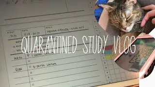 [STUDY VLOG] life of college student living alone