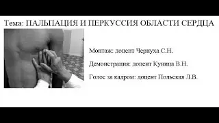пальпация и перкусия области сердца