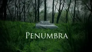 The Forest: Penumbra (Short Horror Film)