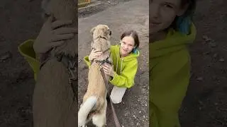 Больше про Паприку в тг «молодая бритни» 🐕❤️