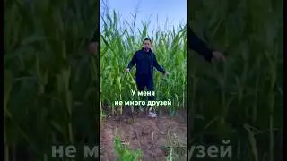 У меня не много друзей! 