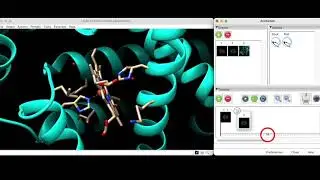 Tutorial 6 – Creating an Animation