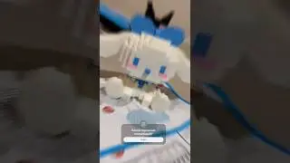 КТО ЭТО? - Cинаморол!! 🤫 #anime #kawaii #sanrio #シナモロール #cinnamoroll #animation