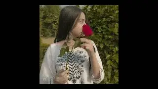 💞beautiful stylish hidden face dpz 🥰🌈✨||hide face profile picture 🦋🌹💝#dpz 🦋💞dp pic 🦋 dp photo 139