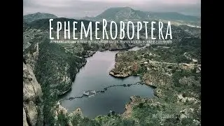EphemeRoboptera - Mateo Bernabeu Carbonell