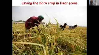 Impact of COVID-19 on Food and Nutrition Security: Call for Action