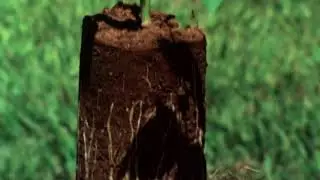 Brasiliana Documentário 18 MANIOP